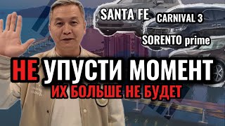 ИХ СКОРО НЕ БУДЕТ! Santafe TM, Sorento prime, Carnival 3