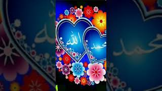 💕এ উচি সানহে আল্লাহুআল্লা💕@ islamic quran #qurancover #allahuakbar #islamicvideo# viral