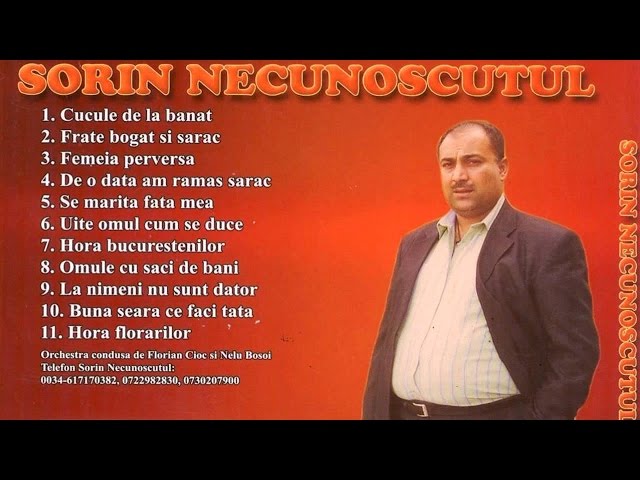 Download Sorin Necunoscutul Buna Seara Ce Faci Tata Muzica De Ascultare