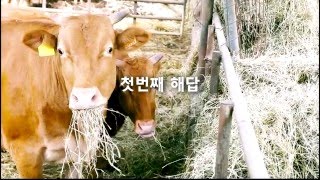 [농림수산식품교육문화정보원] 옥답 바이럴영상 \