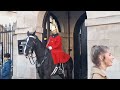 Get behind the bollards tourist just walk on by #horseguardsparade