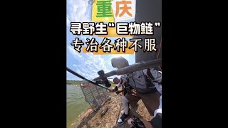 重庆寻巨型鲢鳙：实战探讨选位的逻辑和如何正确的控鱼