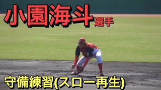 小園海斗選手（広島東洋カープ）　守備練習をスローにしました【２０１９／４／２０＠由宇練習場】