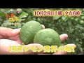 知る食うロード～発見！食の景観～ 29｜bsジャパン