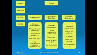 SIR2011: Cyanobacteria, Chloroflexota and Chlorobiota