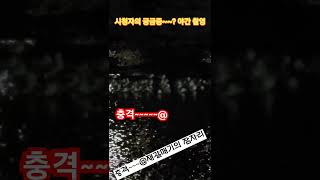 시청자들의 궁금증 해소를 위하여 라이트없이 야간촬멍 시도. 화질 양해부탁~~해요