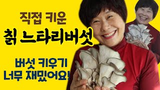 칡 느타리버섯 키우기 / 처음 종균 사서 아파트 베란다에서 키운 직접 키툰 첫 느타리버섯이에요! 너무 재밌어요 / 느타리버섯 키우는 방법 / 비법 / 쉽게 간단하게 맛있게 먹는 법