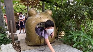 風鈴が垂れ下がるかえる寺｜福岡観光｜如意輪寺★奈華11y