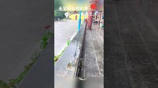 我的城市下暴雨了开启了看海模式，每个人的一生都会碰到一场措手不及的大雨，你若身陷其中，愿有人为你撑伞，如果没有，愿你也要有看雨的心情#当你的天空突然下起了大雨 #生活一半烟火一半清欢 #雨后的新鲜空气