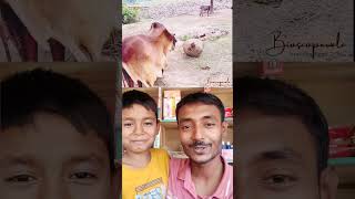 মানুষ এতটা পা*জি হয় কেমনে...!#trending #viral #viralvideo #shorts #shortvideo #shortsfeed