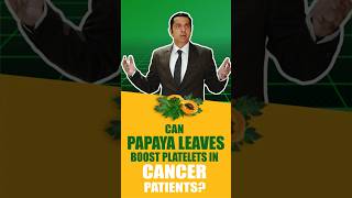 Can Papaya Leaves Boost Platelets in Cancer.  #papayaleaves #papaya #papayabenefits #cancer