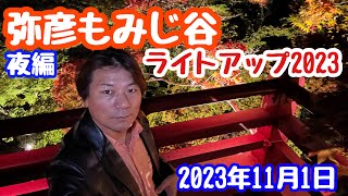 2023年11月1日 弥彦もみじ谷ライトアップ 夜の観月橋〜弥彦駅まで散策 やや早い 新潟県西蒲原郡弥彦村