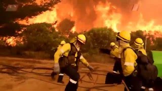 Video shows firefighters battling huge flames in Cape winelands