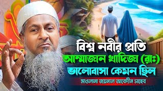 জয়নাল আবেদীনের নতুন ওয়াজ | Joynal Abedin Jalsa | জয়নাল আবেদীন জলসা | Joynal Abedin New Waz