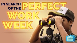 In Search of the Perfect Work Week