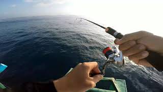 Ultra light jigging with metal jig 20gram, serangan Bali