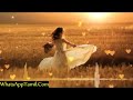 Pathinettu vayasu pattampoochi female single what's app status songs Tamil