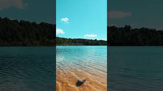 Lake Scenery #1 : No Copyright Nature Landscape Background Video
