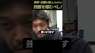 【ガチタマTV】体幹や足腰を鍛える最高のストレッチ＆トレーニング”四股” ！毎日やれば強くなります #Shorts【田村装備開発】