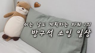 퐁지 vlog 24ㅣ지퍼 없는 베개 커버 만들기ㅣ냥냥빔 작가님 굿즈, 폭설 즐기기, 동탄 카페 오르르