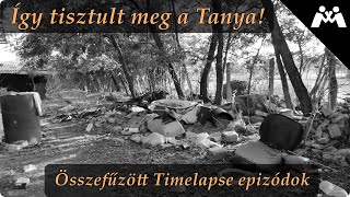 Így tisztult meg a Tanya - Összefűzött Timelapse epizódok