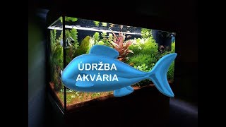 AKVARISTA ZAČÁTEČNÍK 8. - Údržba akvária