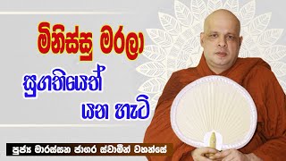 Ama vil  අමාවිල්   Marassana Jagara Thero   29