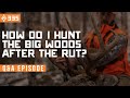 How I Hunt The Big Woods AFTER the Rut - Q&A | East Meets West Hunt - Ep 335