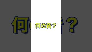 この音何の音か分かるかな？5秒で出来る絶対音感テスト！