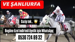 12 Şubat Çarşamba Şanlıurfa tahminleri🔥🔥 whatsapp iletişim 0530 724 89 32