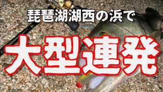 【lakebiwa bassfishing】琵琶湖湖西の浜で大型連発！琵琶湖でバス釣り！