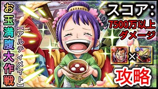 トレクル・OPTC｜お玉満腹大作戦｜アルティメイト｜7500万以上ダメージ｜ルフィ(スネイクマン) × サンジパ攻略｜O-Tama Ranking 50 Stamina｜葉雨