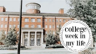 college week in my life: grocery shopping, studying & more