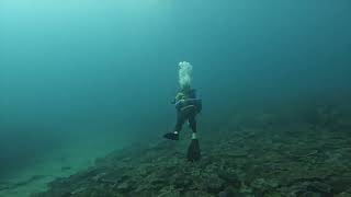 Diving at Hanging Rock Mooloolaba - Sept 2024