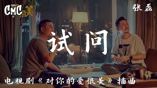 试问 (电视剧《对你的爱很美/Love Is beautiful》插曲) -张磊 【试问此生兜兜转转沟沟坎坎惨惨 能否换你共漫漫】（动感歌词/pīn yīn gē cí）