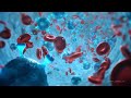 Stardust Biology After Effects Tutorial Final Result