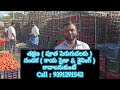 12 01 25 madanapalle tomato market price today today tomato market rate in madanapalle today