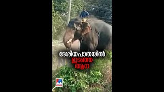 തൃശൂര്‍ മുടിക്കോട് ദേശീയപാതയില്‍ ആന ഇടഞ്ഞ് ലോറി മറിച്ചിടാന്‍ ശ്രമിച്ചു