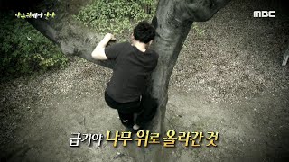 [신비한TV 서프라이즈] 18m 나무 위에서 3년을 산 필리핀 남자, 그 이유는?! 20200510