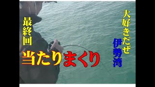 【海釣り情報】大型青物が当たりまくるぞ！最終回