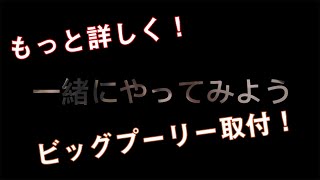 【もっと詳しく】自転車屋オーナーのRIDEAのビッグプーリー取付【ロードバイク】