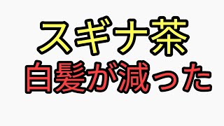 野草の地獄草スギナのケイ素！スギナ茶を飲んでしっかり観察したら白髪が減った！