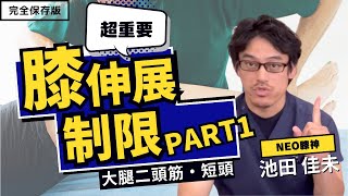 膝関節伸展制限に対するアプローチPart１【大腿二頭筋・短頭編】