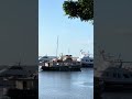 watching the teagardens ferry moor. 🏖️ shorts nelsonbay woodenboat marina