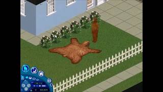 The Sims 1 - Claire the Bear (All Interactions)