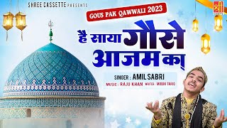 Hai Saya Gaus E Azam Ka | 2023 Gous Pak Qawwali | Amil Sabri | Bagdad Sharif Dargah | Qawwali 2023