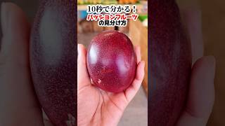 見逃さないで！パッションフルーツの見分け方３選！  #八百屋 #果物 #パッションフルーツ  #shortsfood #fruit