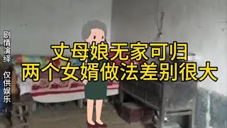 丈母娘无家可归，两个女婿做法差别很大！#家庭 #动画故事【黑妞动画】