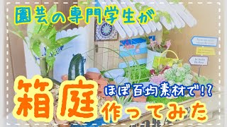 （SNSプロモーション）【箱庭】園芸の専門学生が箱庭作ってみた【ほぼ百均素材で⁉】