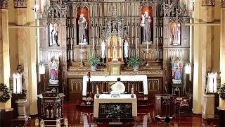 OLC /ST. CASIMIR BROOKLYN, NY Live Stream